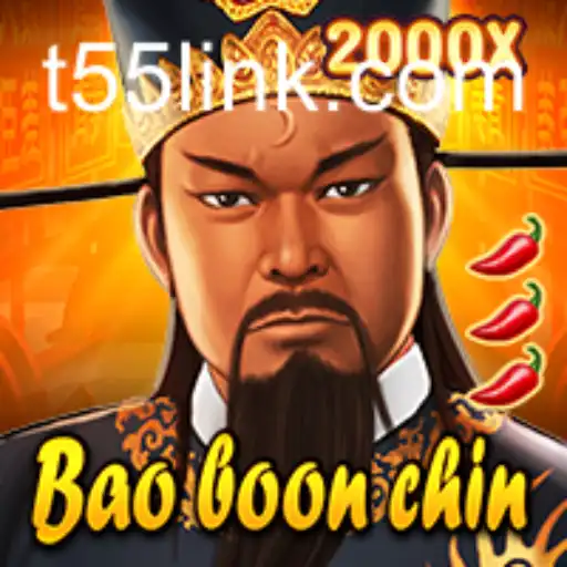 BaoBoonChin: Exploring the Enchanting World of T55
